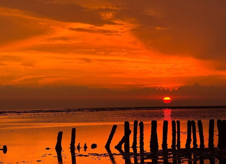 A sunset over a beach with wooden posts silhouetted against the sky. 3