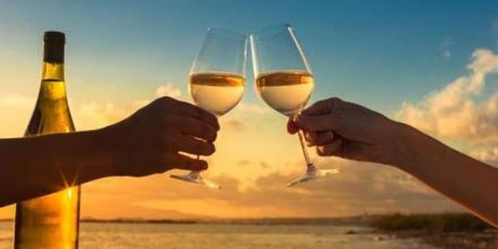 Two hands clinking wine glasses with a bottle of wine and a sunset in the background. 2