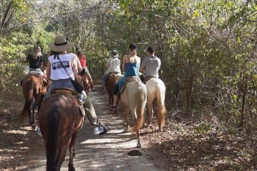 Private Horseback Riding Tour in Playa Larga 3