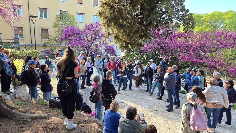 Picture 3 for Activity Ascoli Piceno: Guided walking tour in the city of 100 towers 5