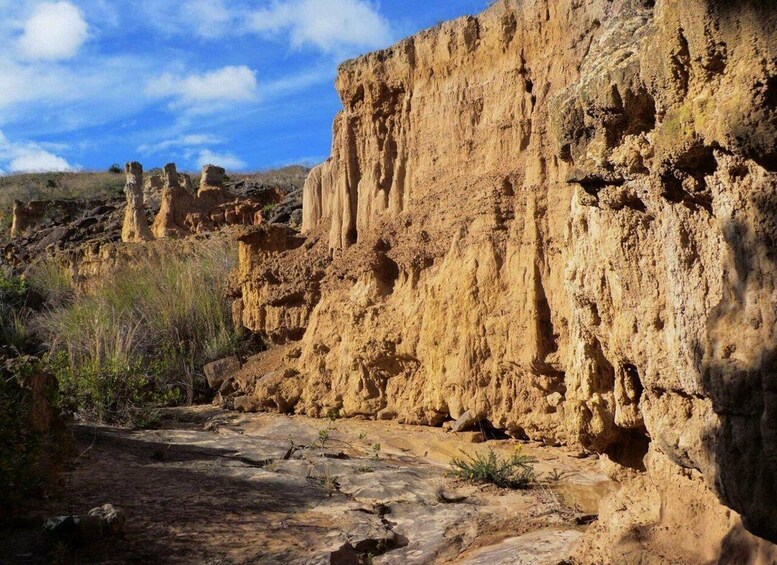 A rocky canyon with layered cliffs and sparse vegetation. 4