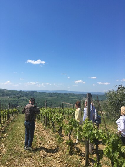 Chianti Classico: Winery Tour & Tasting at Gagliole Wines 1