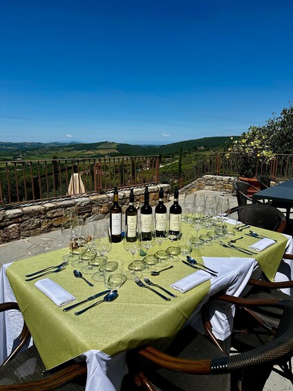 Picture 3 for Activity Chianti Classico: Winery Tour & Tasting at Gagliole Wines 2