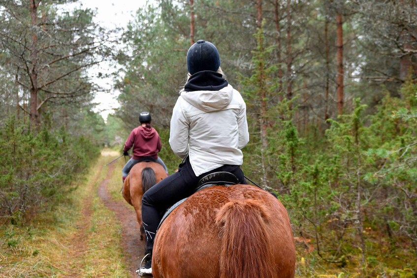 Picture 3 for Activity Eureka Springs: Sandia Mountains Guided Horseback Ride 5