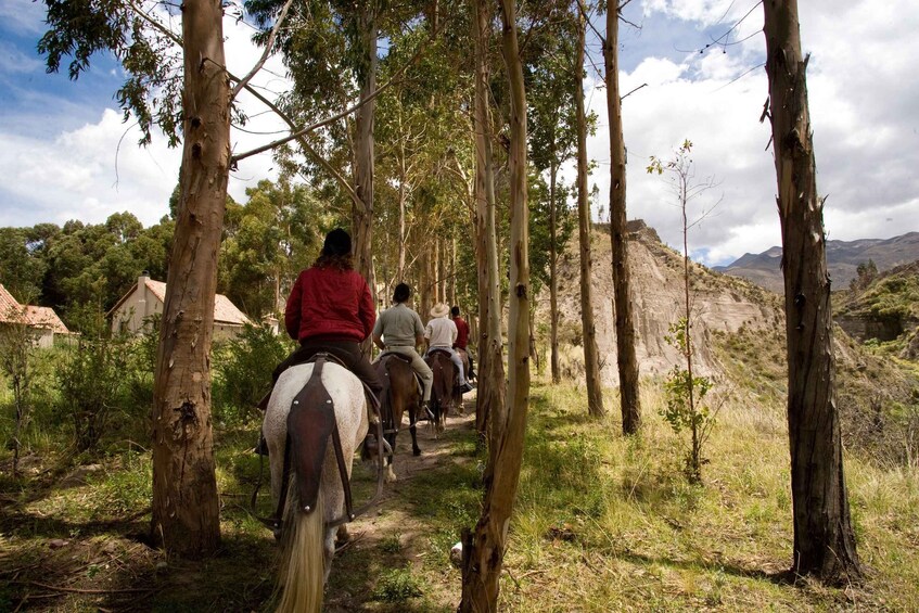 Picture 1 for Activity Eureka Springs: Sandia Mountains Guided Horseback Ride 3