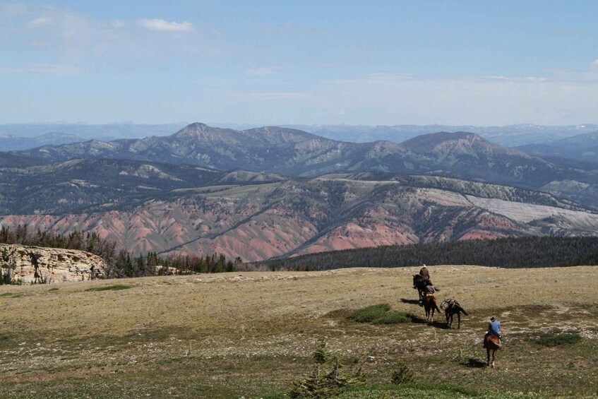Picture 4 for Activity Eureka Springs: Sandia Mountains Guided Horseback Ride 2