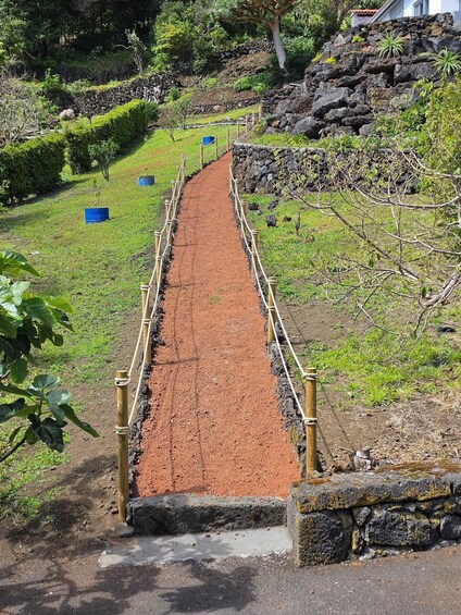 Picture 2 for Activity São Jorge Tour: Exhibition, Volcanic Cave, and Local Products Tasting 4
