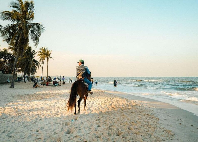Ouano: 2-Hour Coastal Horse Riding Experience 1