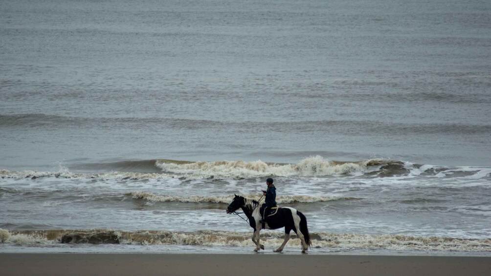 Picture 2 for Activity Ouano: 2-Hour Coastal Horse Riding Experience 2