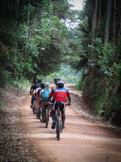 Picture 3 for Activity Moshi: Rau Forest Guided Bike Tour 2
