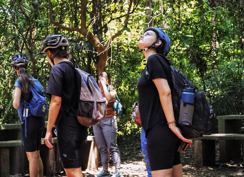 Picture 6 for Activity Moshi: Rau Forest Guided Bike Tour 3
