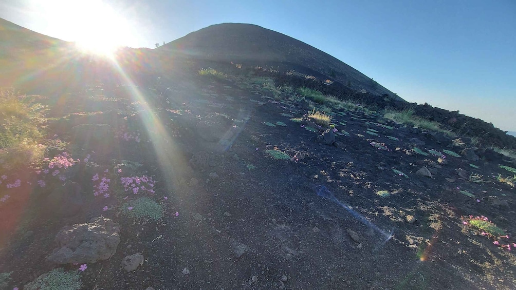 A rocky hillside with sparse vegetation and a clear sky. 2