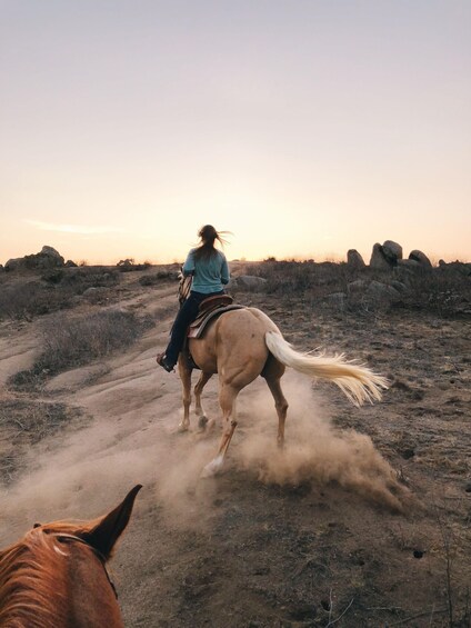 A person riding a horse through a dry, rocky terrain with sparse vegetation. 2