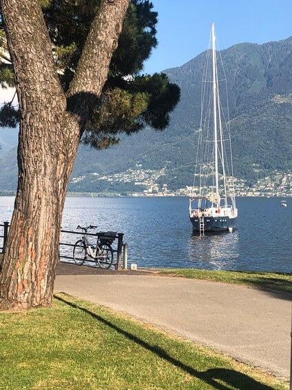 A sailboat on calm water, a bicycle, and a tree by the lakeside. 5