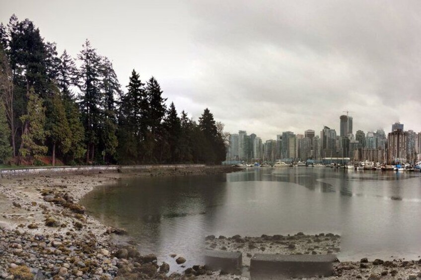 A calm lake with a city skyline in the background, surrounded by dense trees. 3