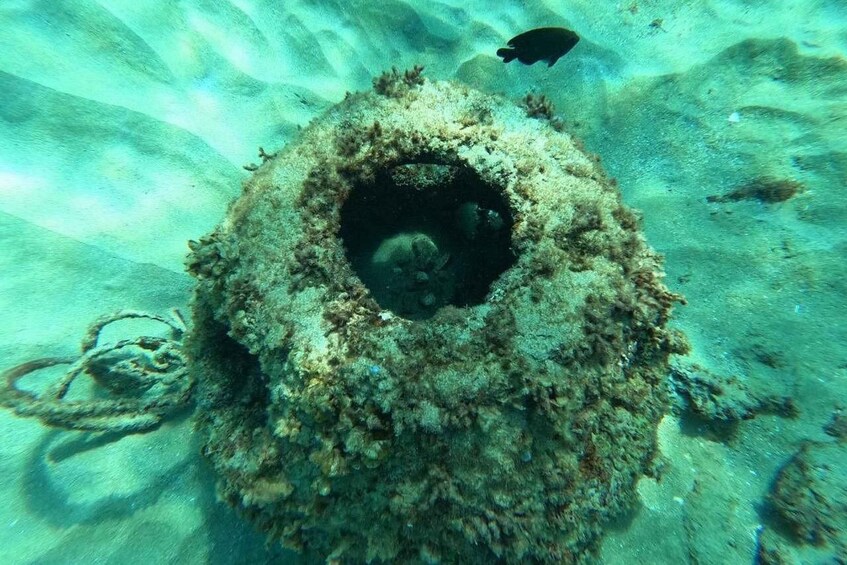 An underwater scene with a large coral formation and a fish swimming nearby. 3