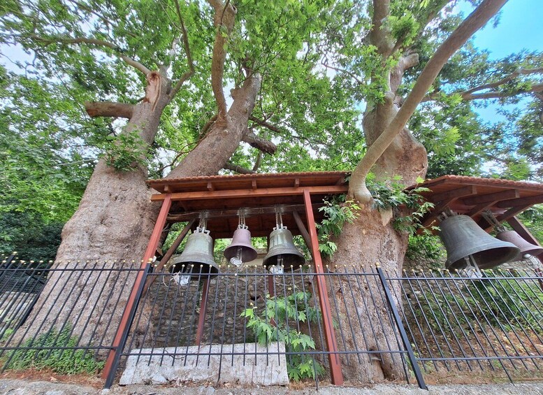 Picture 8 for Activity Patras, Kalavryta, Winery and Monastery Visit 4