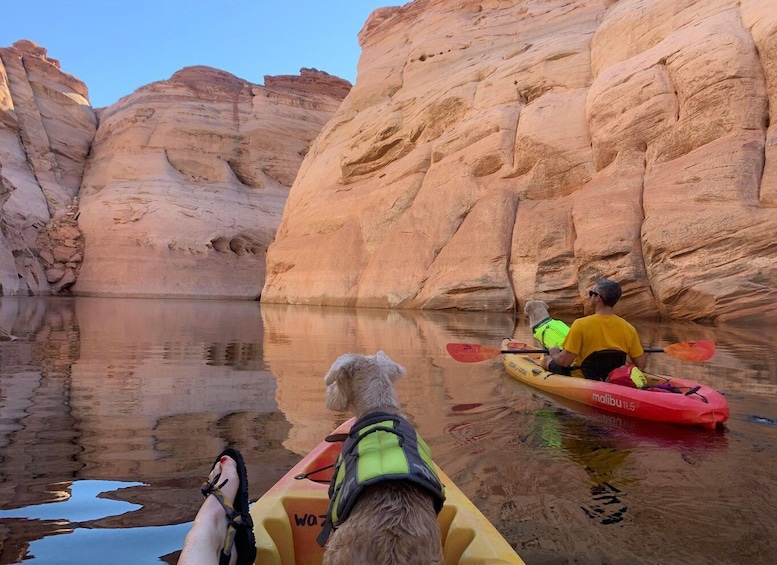 A person kayaking with a dog in a canyon. 1