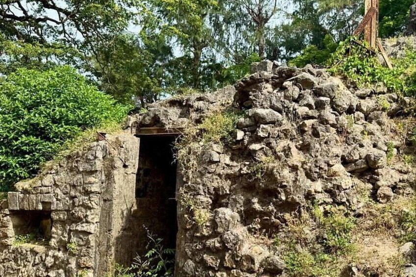 An ancient stone structure with a doorway, surrounded by vegetation. 3