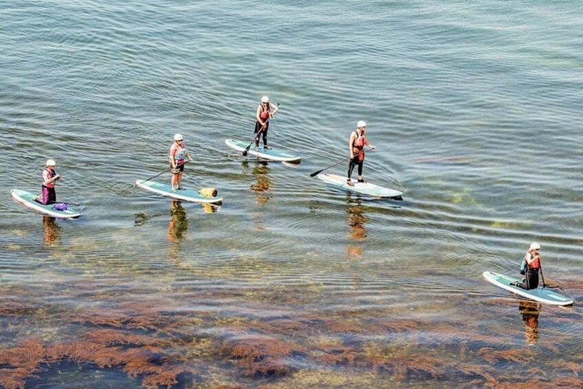 Introduction to Stand Up Paddleboarding in Studland 1