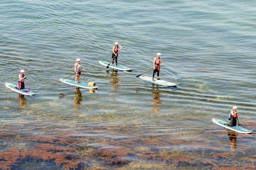 Introduction to Stand Up Paddleboarding in Studland 1