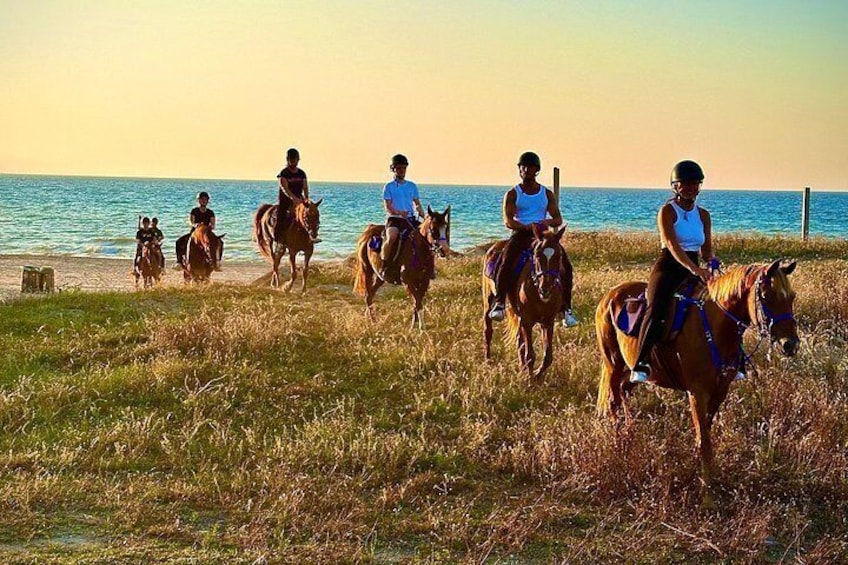 Horseback riding on the beach of Castellammare del Golfo 3