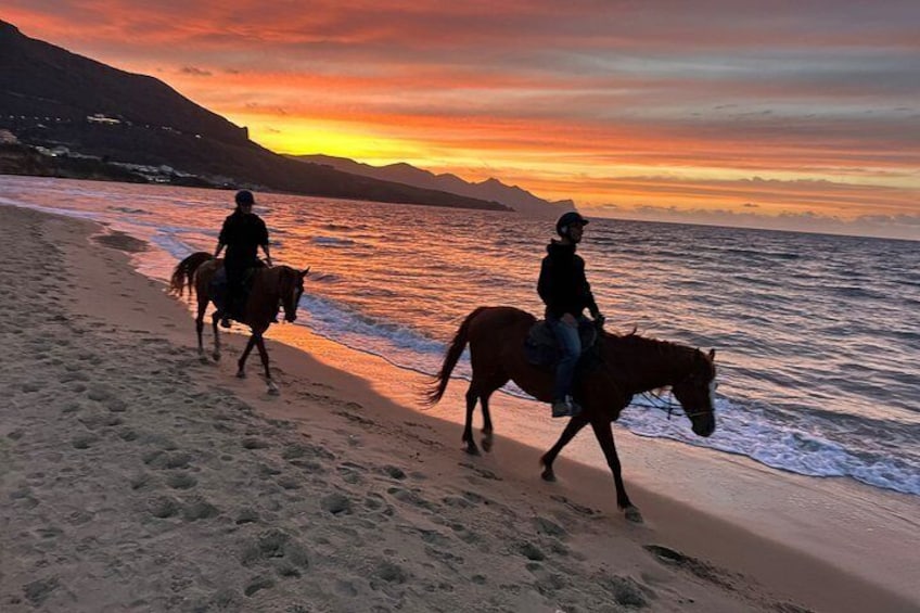 Horseback riding on the beach of Castellammare del Golfo 5