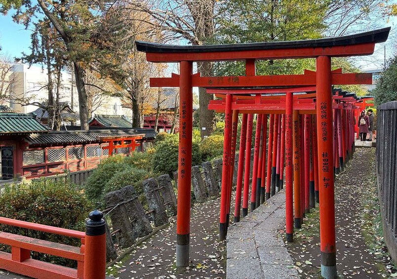 Picture 2 for Activity Tokyo: Yanaka District History Walking Tour 5