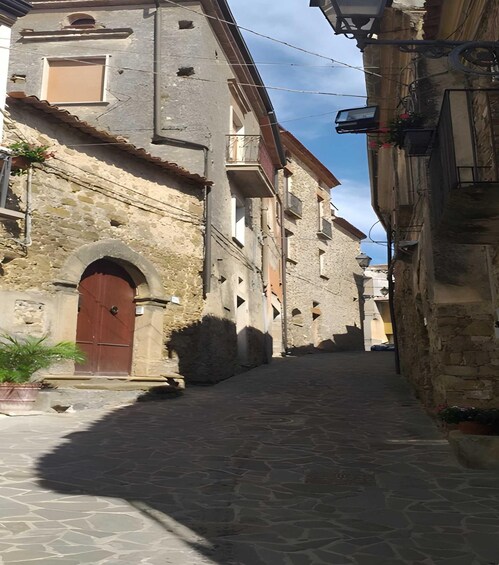Cilento Tour with Lunch and Museum Visit 1