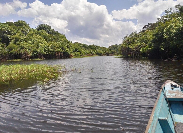 A calm river with dense greenery on both sides, a small boat in the foreground, and a partly cloudy sky. 3
