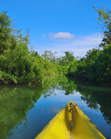 A yellow kayak on calm water with dense green foliage on both sides. 3