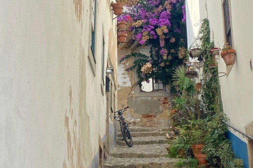 A narrow alley with a bicycle parked at the bottom, surrounded by potted plants and flowering vines. 4