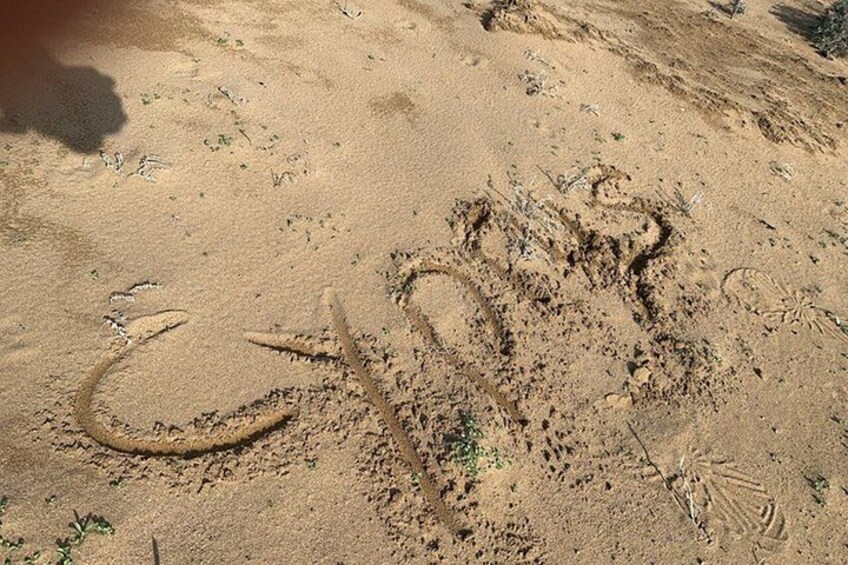 A desert landscape with footprints and a snake-like pattern in the sand. 3