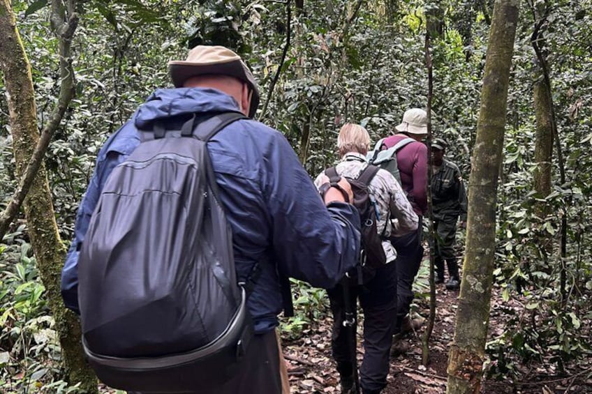 A group of hikers in a dense forest. 5