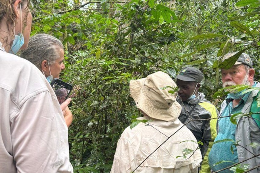 A group of people in a forested area, some wearing hats and jackets, with dense green foliage in the background. 3