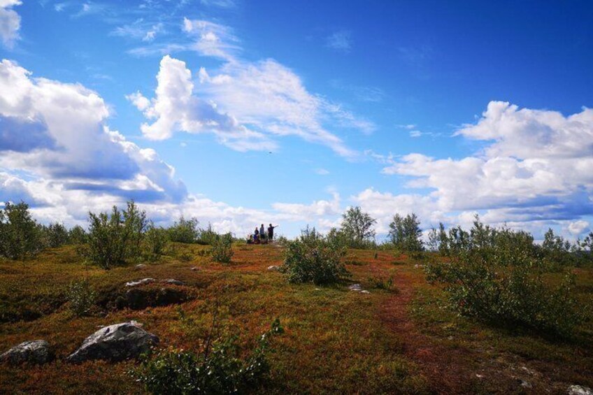 A grassy landscape with scattered rocks and bushes under a partly cloudy sky. 5