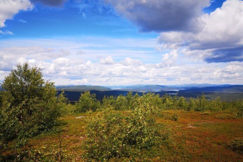 A landscape with a clear sky, distant mountains, and a foreground of green shrubs. 3