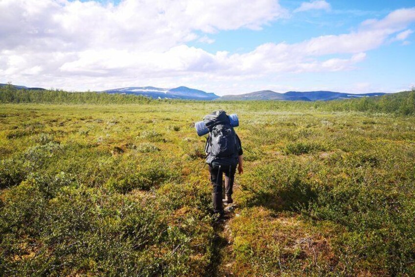 Kurravaara Hiking Tour Scenic Nature Walk in Kiruna 2