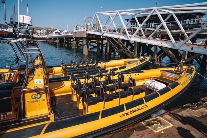 Bridges Rib Tours 60 Minutes 2