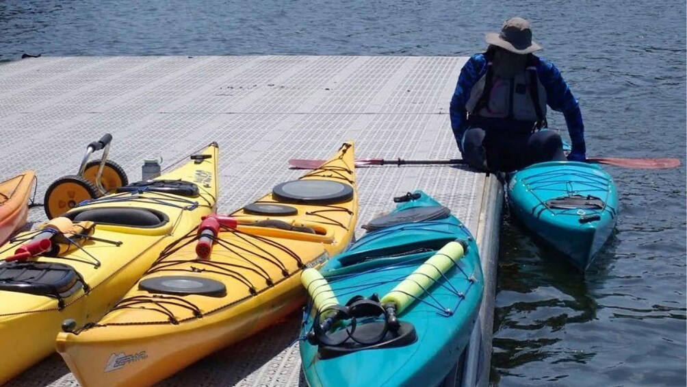 Picture 3 for Activity The Woodlands, Texas: Adaptive Paddling Guided Eco-Tour 3