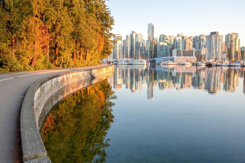 A waterfront with a city skyline, a curved road, and dense trees reflecting in the water. 3