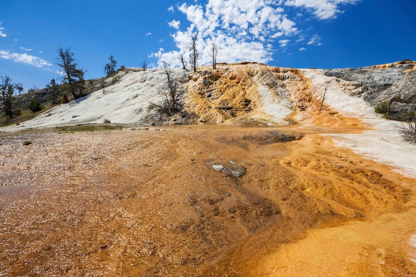 A geothermal area with mineral deposits and sparse vegetation. 5