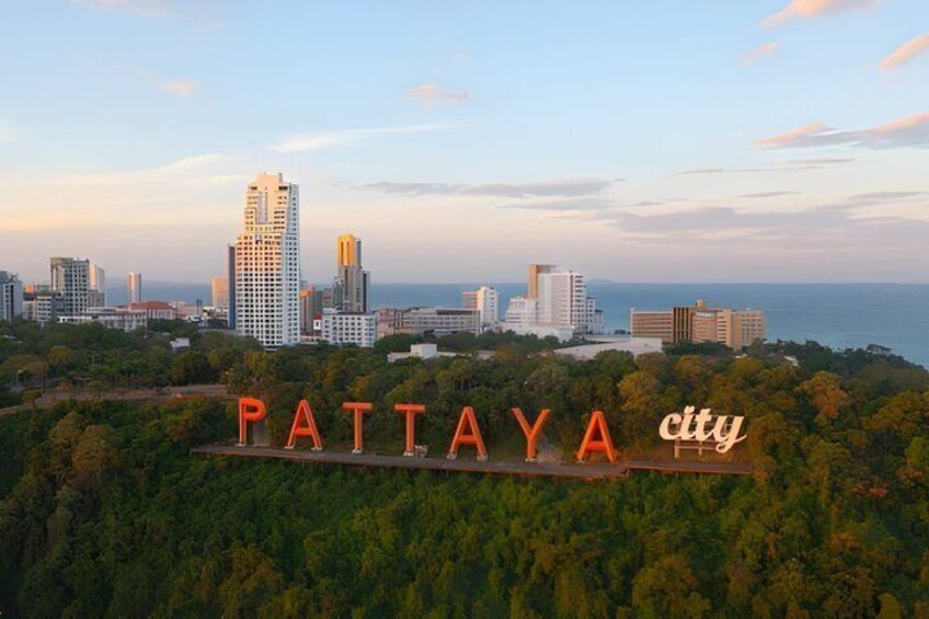 Pattaya Customized Private Day Trip 2
