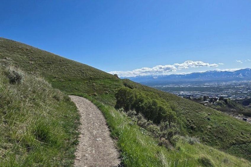 A dirt path winding through a grassy hillside with a mountain range in the distance. 1