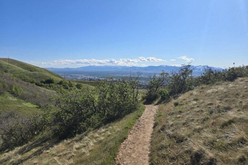 A hiking trail in a hilly area with a clear sky and distant mountains. 2