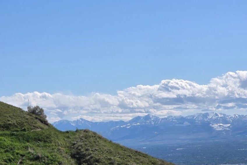 A grassy hill with a clear sky and distant snow-capped mountains. 4