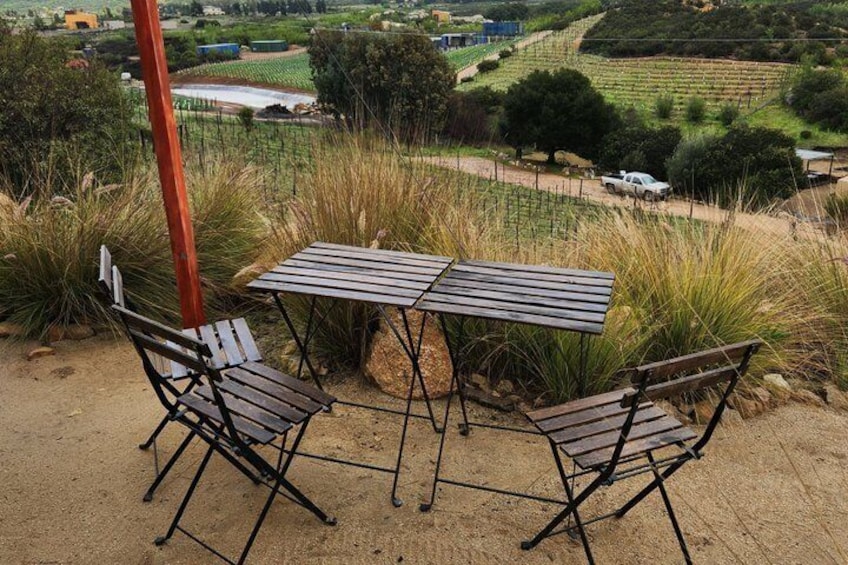 A metal table and chairs set on a sandy hill overlooking a vineyard. 5