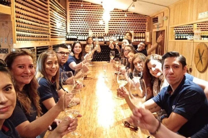 A group of people toasting with wine glasses in a wine cellar. 3