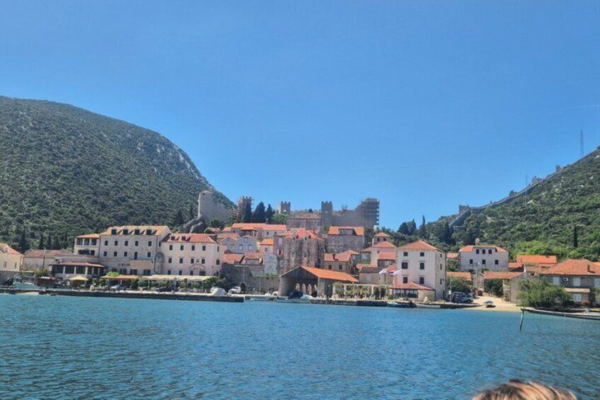 Ston Oysters and Pelješac Wine Premium Private Tour 1
