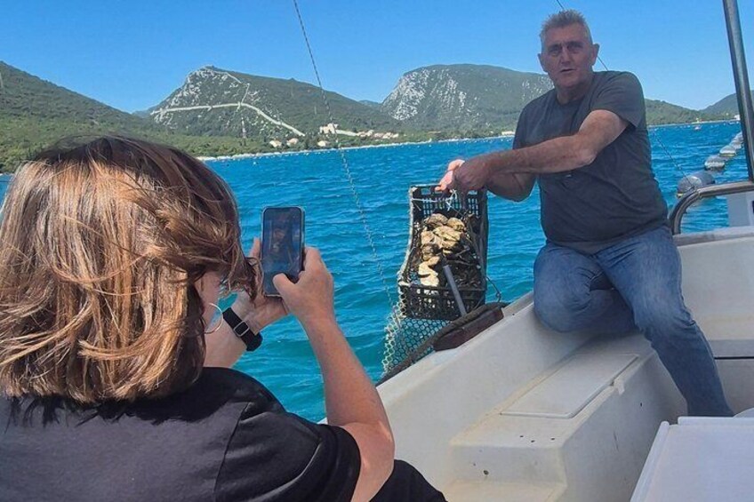 Ston Oysters and Pelješac Wine Premium Private Tour 5